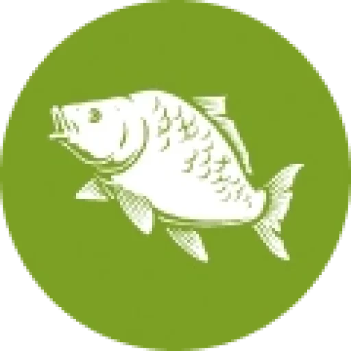 Nog geen product afbeelding beschikbaar